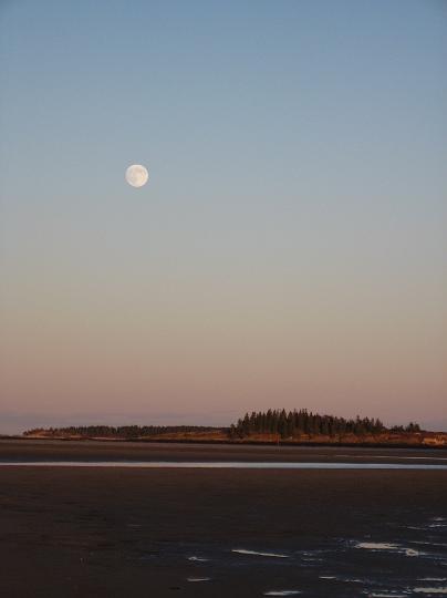 IMG_0896.JPG - Moon over Wood Island