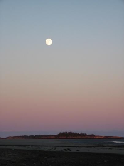 IMG_0906.JPG - Moon one more time