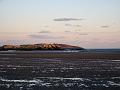 IMG_0895