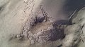 IMAG0034