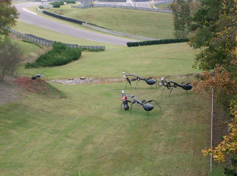 CIMG2424.JPG - Ants  sculpture