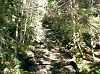 CIMG1066Coppermine_mini.jpg
