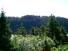 CIMG1069FundyCliff_mini.jpg