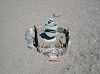 CIMG1070BeachArt_mini.jpg