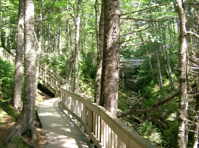 CIMG1075FundyBoardwalk