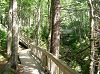CIMG1075FundyBoardwalk_mini.jpg