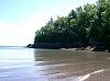 CIMG1083FundyBeach_mini.jpg