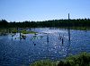 CIMG1089FundyPond_mini.jpg