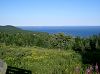 CIMG1106Fundy_mini.jpg