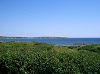 CIMG1112Fundy_mini.jpg