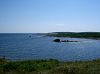 CIMG1115Fundy_mini.jpg