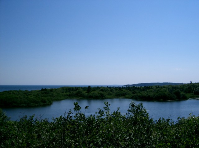 CIMG1116Fundy