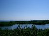 CIMG1116Fundy_mini.jpg