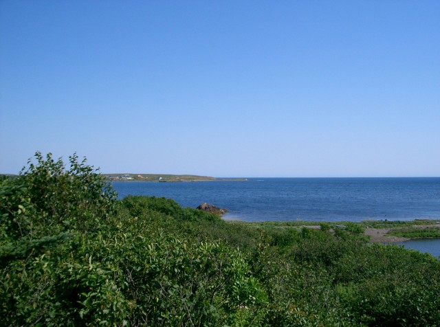 CIMG1117Fundy