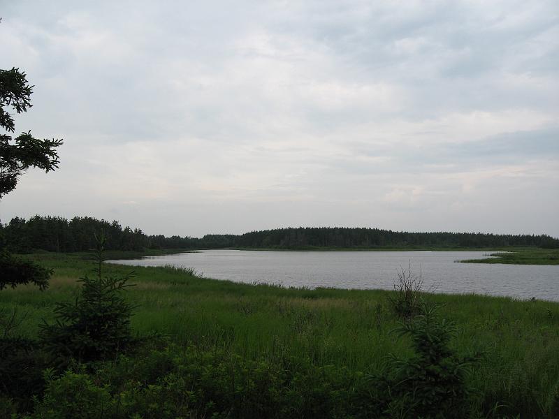 IMG_1218.JPG - Pond near the cottage