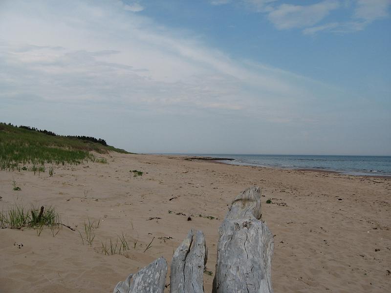 IMG_1238.JPG - Beach at Basin Head