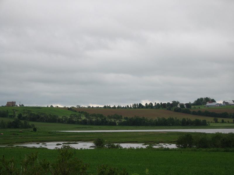 IMG_1240.JPG - Potato fields