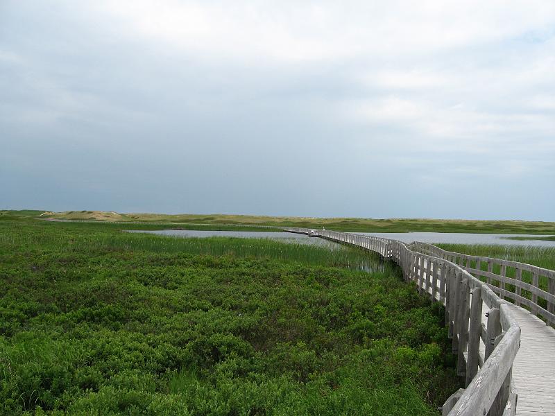 IMG_1358.JPG - Boardwalk at the Greenwich section of the PEI National Park