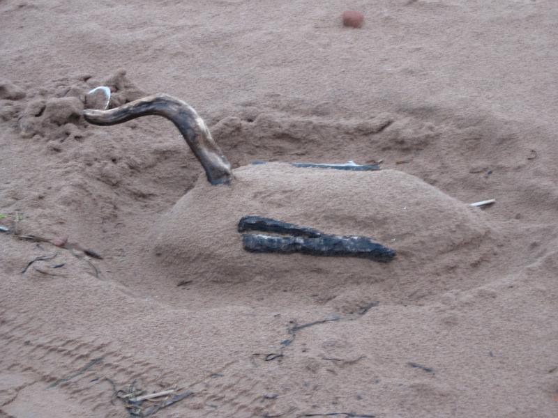 IMG_1408.JPG - Beach sculpture