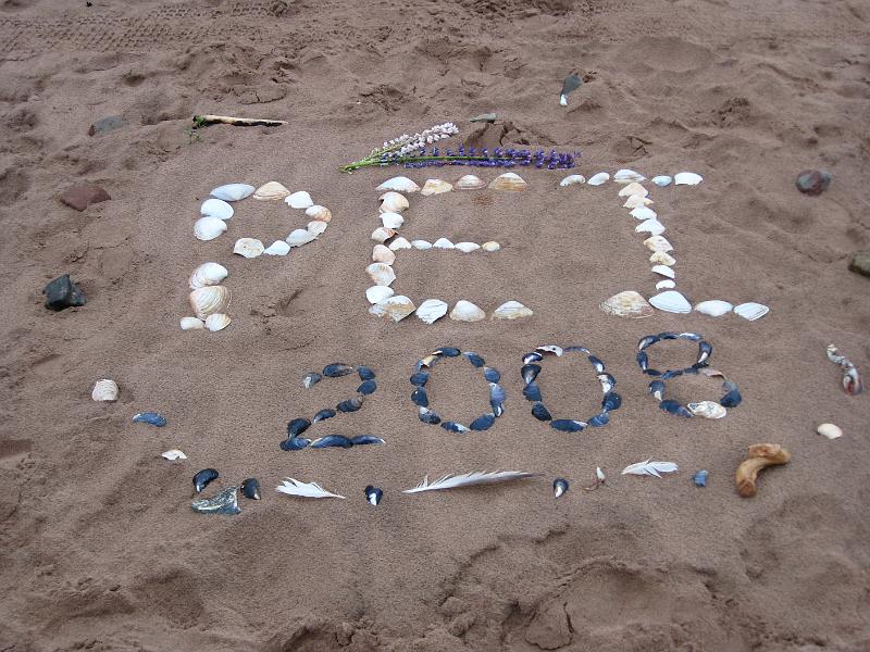 IMG_1412.JPG - Beach decoration