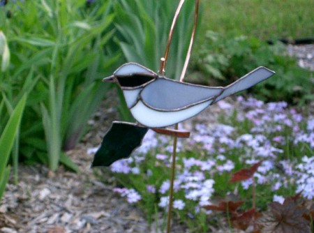 chickadee