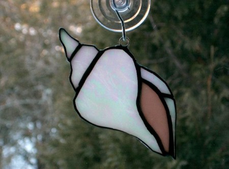 seashells