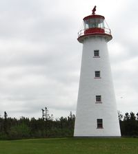 Point Prim